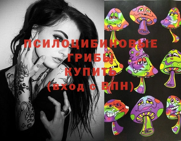 трава Наволоки