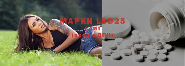 трава Наволоки