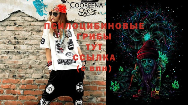ПСИЛОЦИБИНОВЫЕ ГРИБЫ Нея