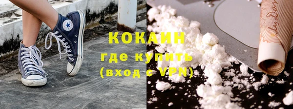 трава Наволоки