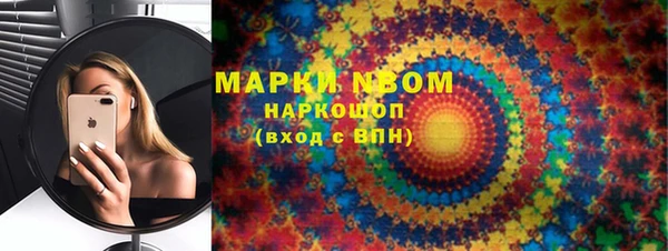 твердый Бердск