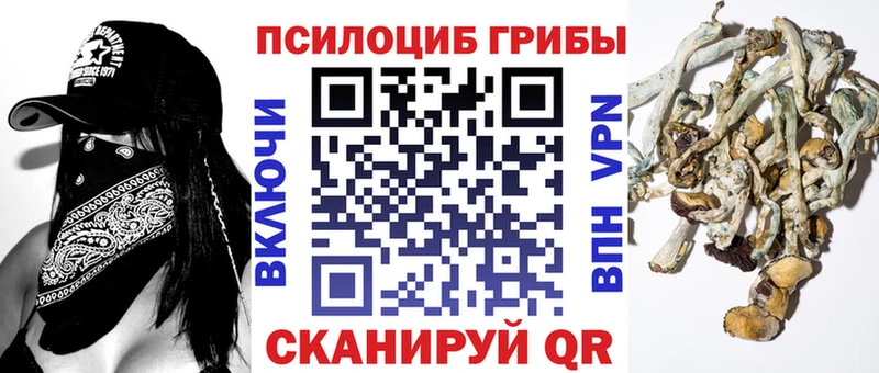 Галлюциногенные грибы MAGIC MUSHROOMS  купить   Новохопёрск 